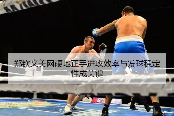 zheng-qin-wen-mei-wang-ying-di-zheng-shou-jin-gong-xiao-lv-yu-fa-qiu-wen-ding-xing-cheng-guan-jian-2-697.jpg
