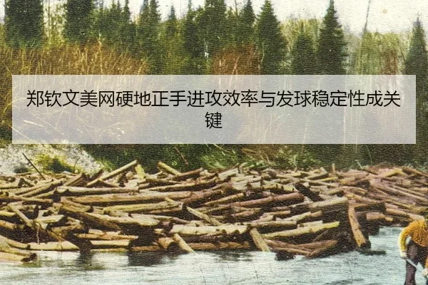 zheng-qin-wen-mei-wang-ying-di-zheng-shou-jin-gong-xiao-lv-yu-fa-qiu-wen-ding-xing-cheng-guan-jian-3-583.jpg