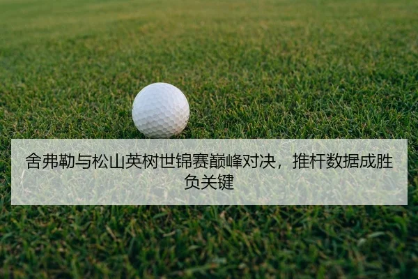 she-fu-lei-yu-song-shan-ying-shu-shi-jin-sai-dian-feng-dui-jue-tui-gan-shu-ju-cheng-sheng-fu-guan-jian-2-321.jpg