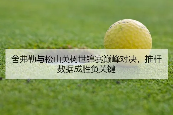 she-fu-lei-yu-song-shan-ying-shu-shi-jin-sai-dian-feng-dui-jue-tui-gan-shu-ju-cheng-sheng-fu-guan-jian-3-484.jpg