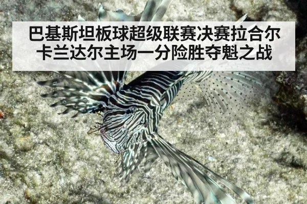 巴基斯坦板球超级联赛决赛拉合尔卡兰达尔主场一分险胜夺魁之战